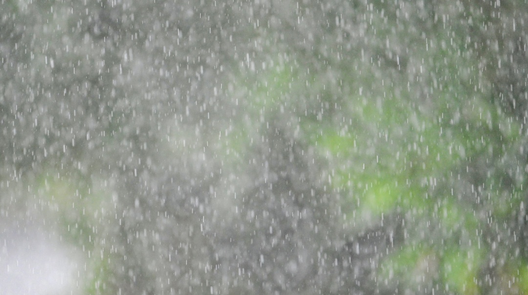 广州，周末又要下雨了！