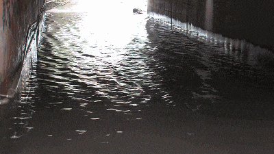 雨天骑行,这件东西千万别带回家! 雨天骑行,这件东西千万别带回家!