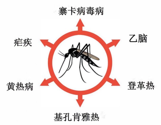这20%的人更爱招蚊子！看看有您吗？