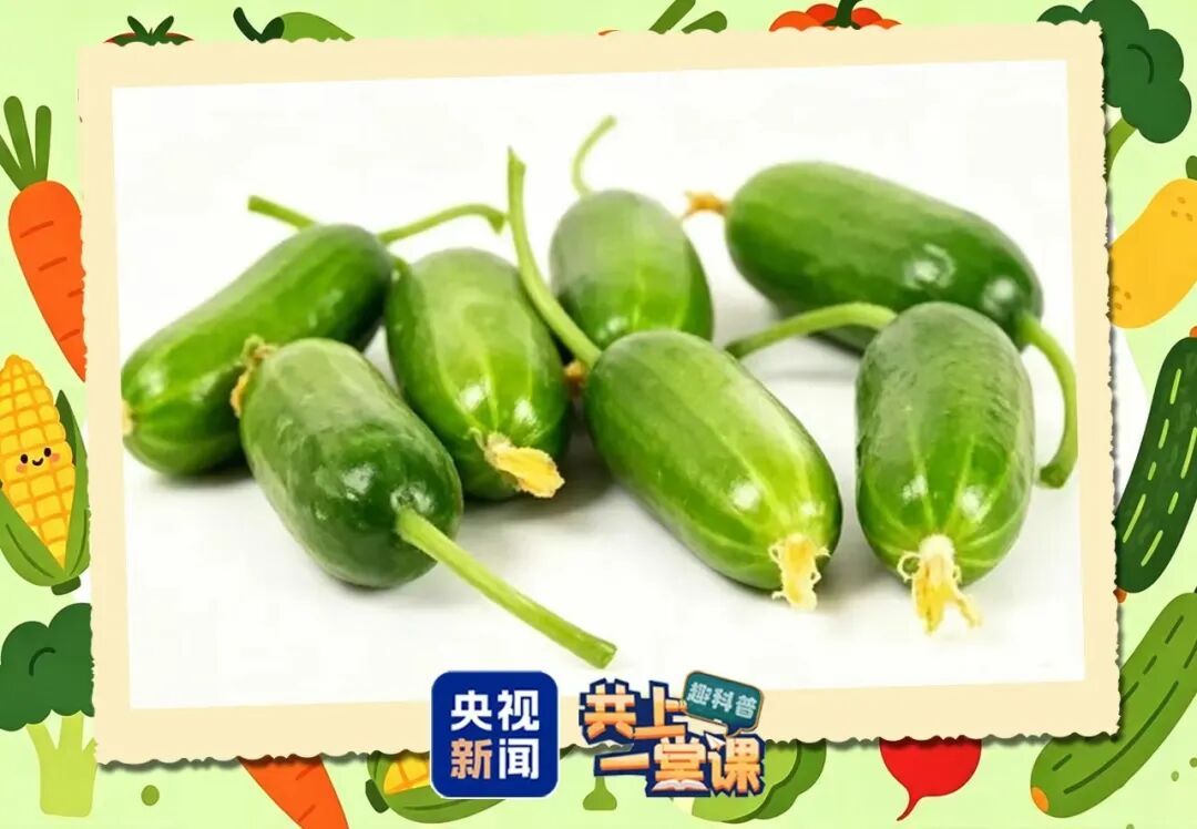 “水果型蔬菜”身价翻倍！它和普通蔬菜有什么不一样？
