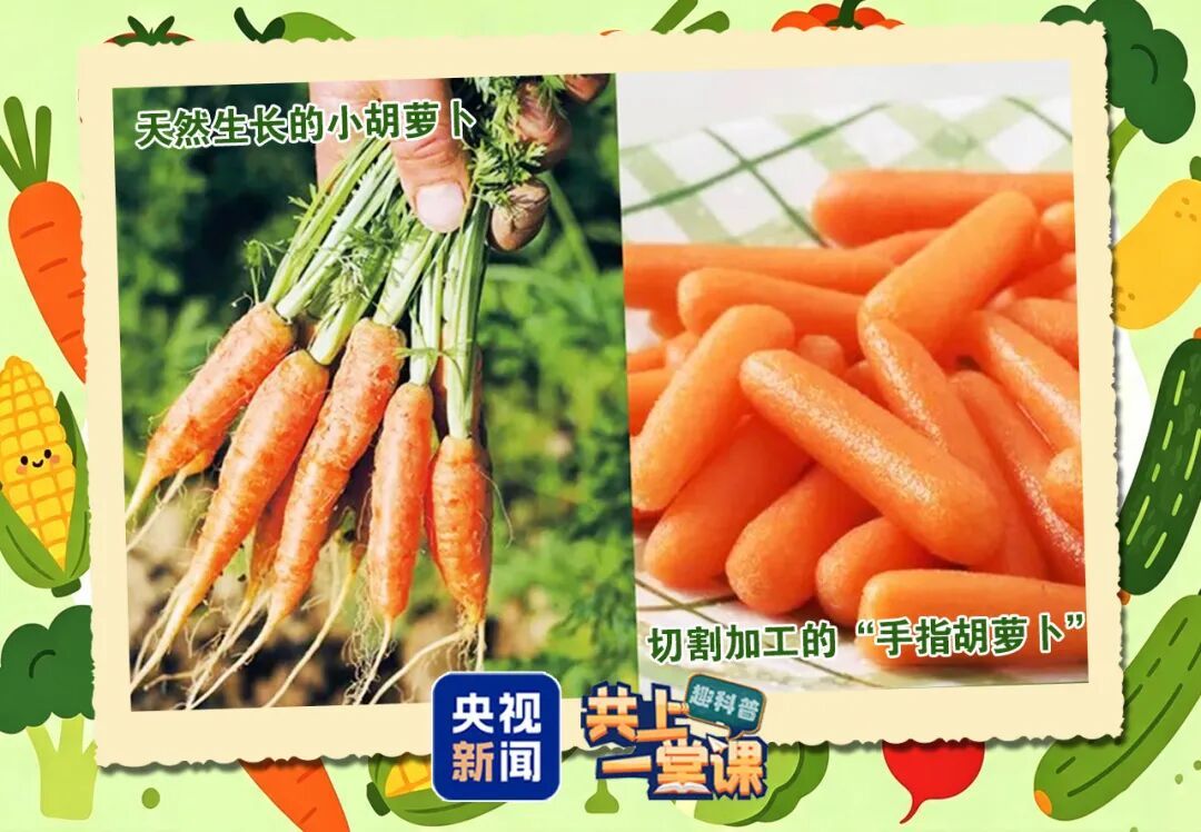 “水果型蔬菜”身价翻倍！它和普通蔬菜有什么不一样？