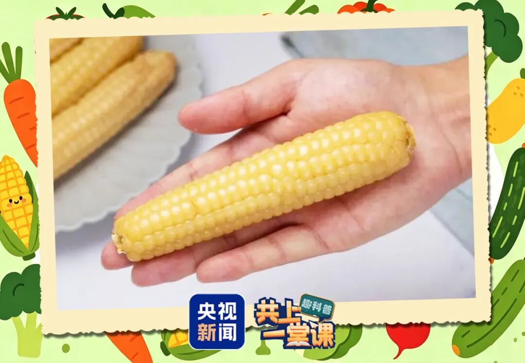 “水果型蔬菜”身价翻倍！它和普通蔬菜有什么不一样？