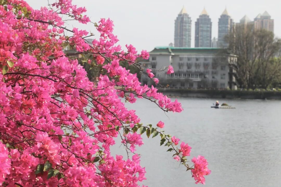 广州:冷空气还在路上,雨先到了! 广州:冷空气还在路上,雨先到了!