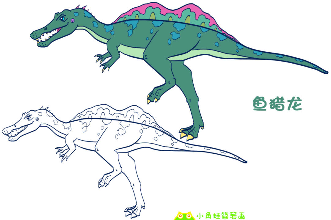 斑龙超科代表恐龙,棘龙,斑龙,重爪龙等