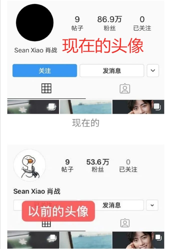 肖战ins头像怎么了？肖战ins被盗号了？本尊回应了吗？