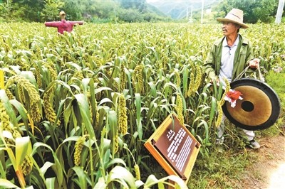 门头沟清水镇：废弃矿山荒沟开出“清水花谷”,于克明,花谷,清水镇,清水村,北京头条,王进生|门头沟清水镇：废弃矿山荒沟开出“清水花谷”