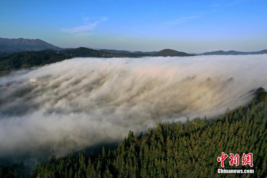 中国新闻网|贵州从江冬日“云瀑”惹人醉