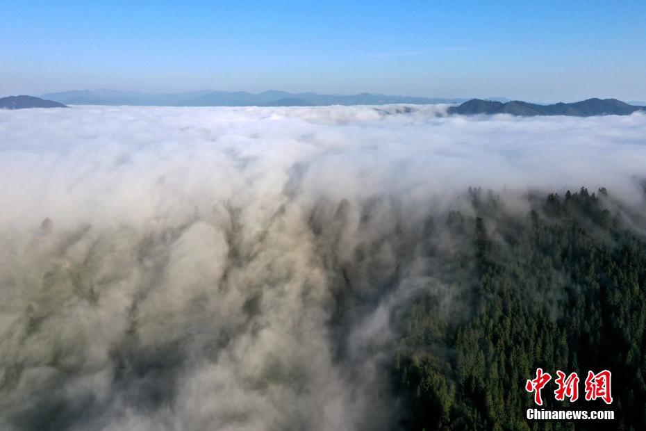 中国新闻网|贵州从江冬日“云瀑”惹人醉