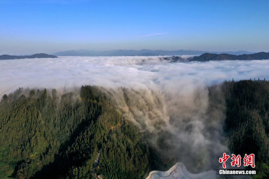 中国新闻网|贵州从江冬日“云瀑”惹人醉