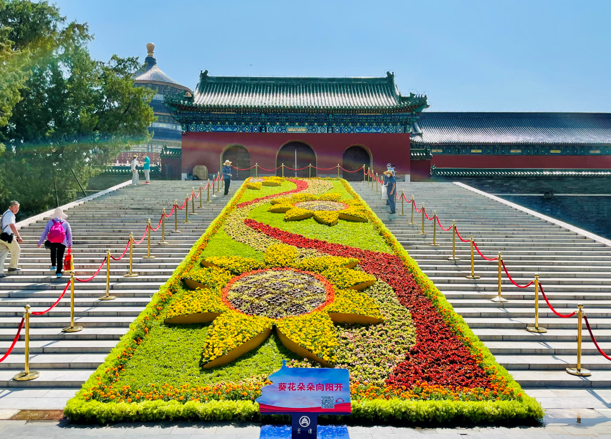 花团锦簇迎华诞！北京市属公园21组主题花坛摆放完成