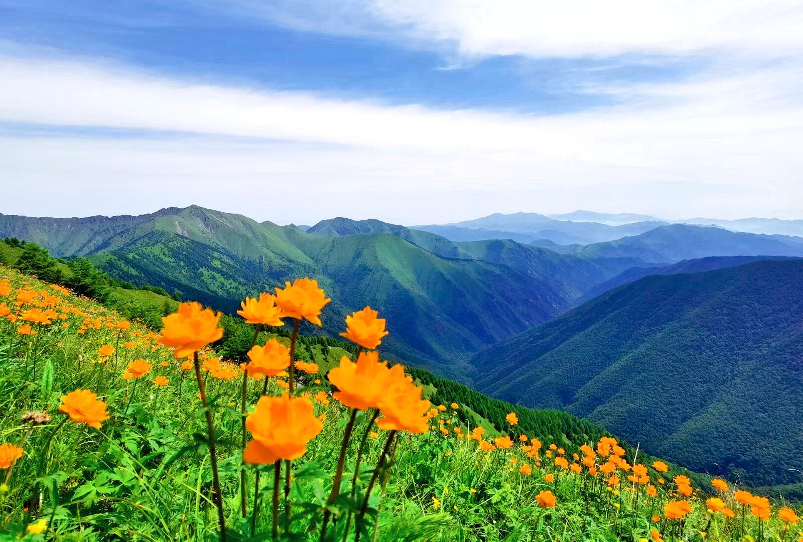 重庆城口,生态气候良好,自然风光秀美,是人人向往的"心灵牧场·养生