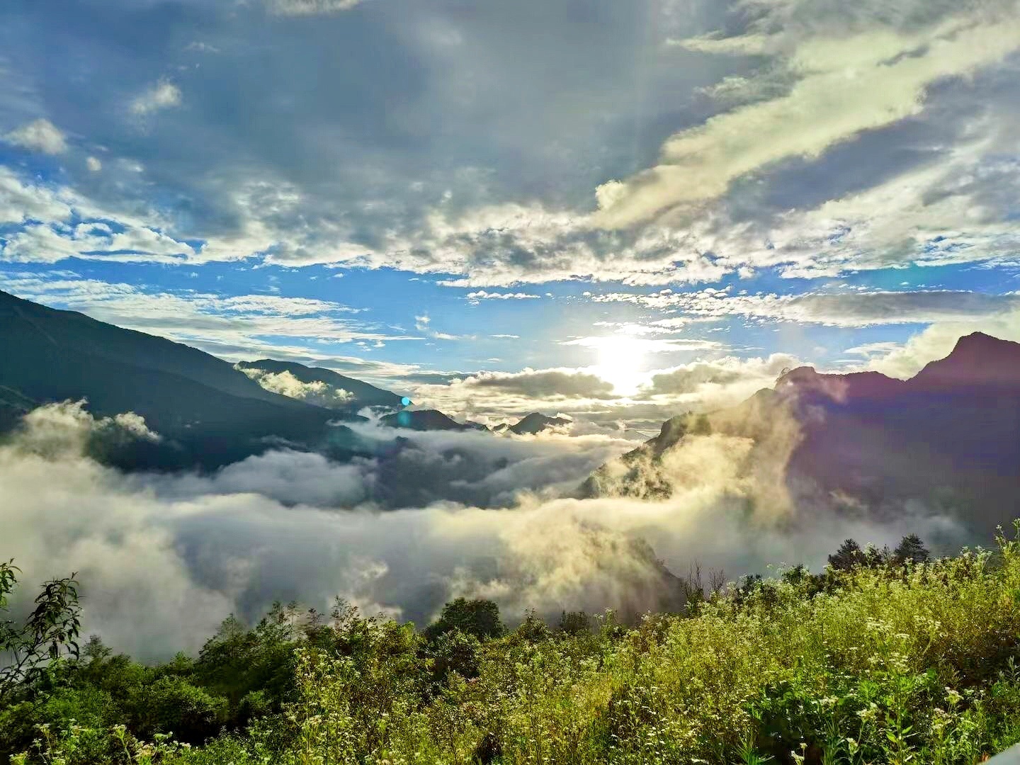 重庆城口:夏日风景美如画