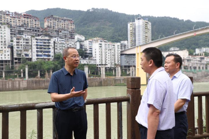 武隆印象客户端讯(记者陈娜霖黄华)7月12日,区委副书记,代理区长左军