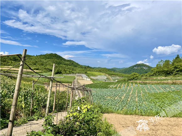 圆梦小康看秀山:重振涌洞 以乡村旅游带动全面振兴