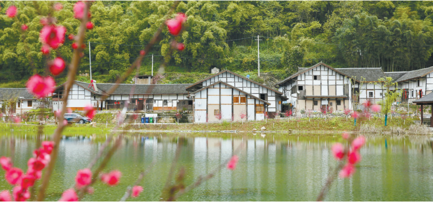 洛碛镇大天池村桃韵天池