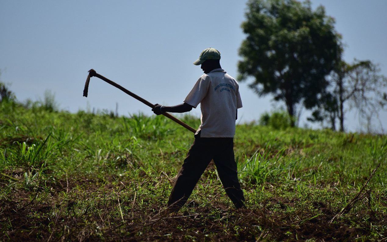 在佩雅佩雅村 与坦桑农民一起种玉米