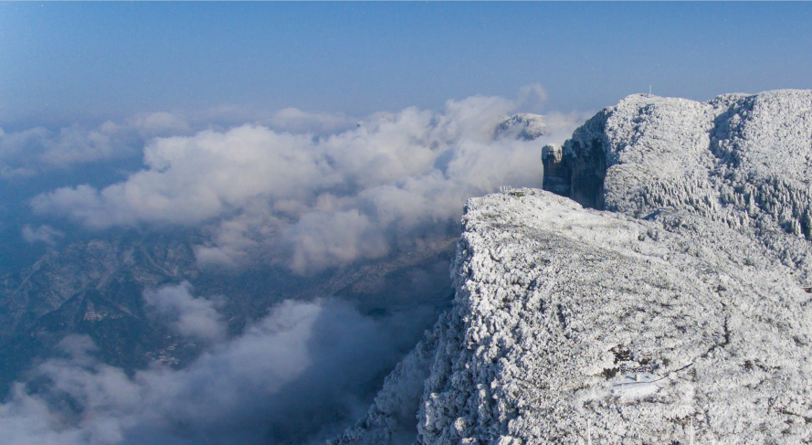 小雪迎大雪金佛山雪景刷爆朋友圈附景区重要提醒