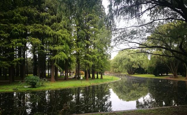 好消息！河南今年将新建14个省级湿地公园，以后游玩有去处了