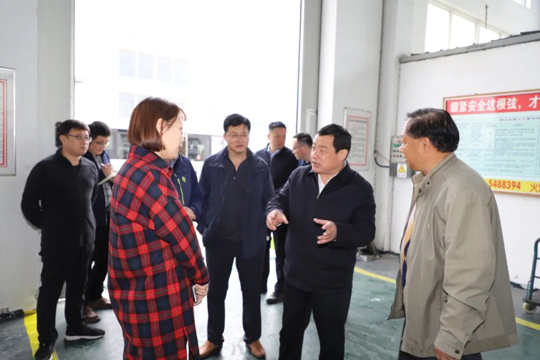 市委书记包华赴桃村镇督导调研