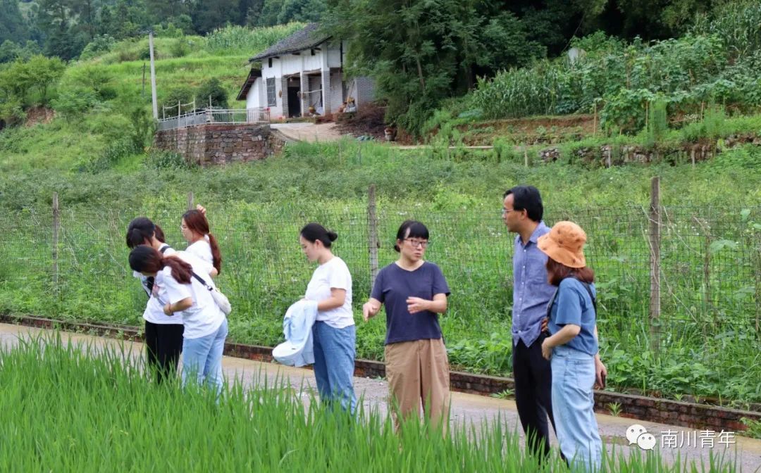 重庆理工大学与大观镇共建乡村振兴大学生社会实践基地