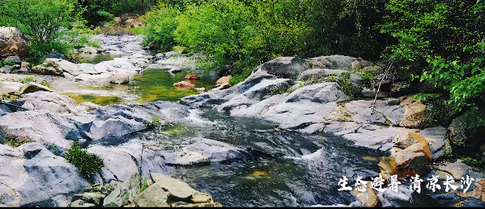 泛亚电竞|开州区南部的这个生态避暑打卡地，你想来吗？(图16)