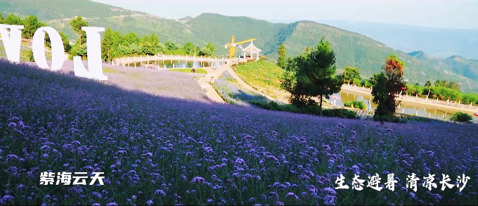 开州区南部的这个生态避暑打卡地，你想来吗？“雷火电竞在线登录官网”(图20)