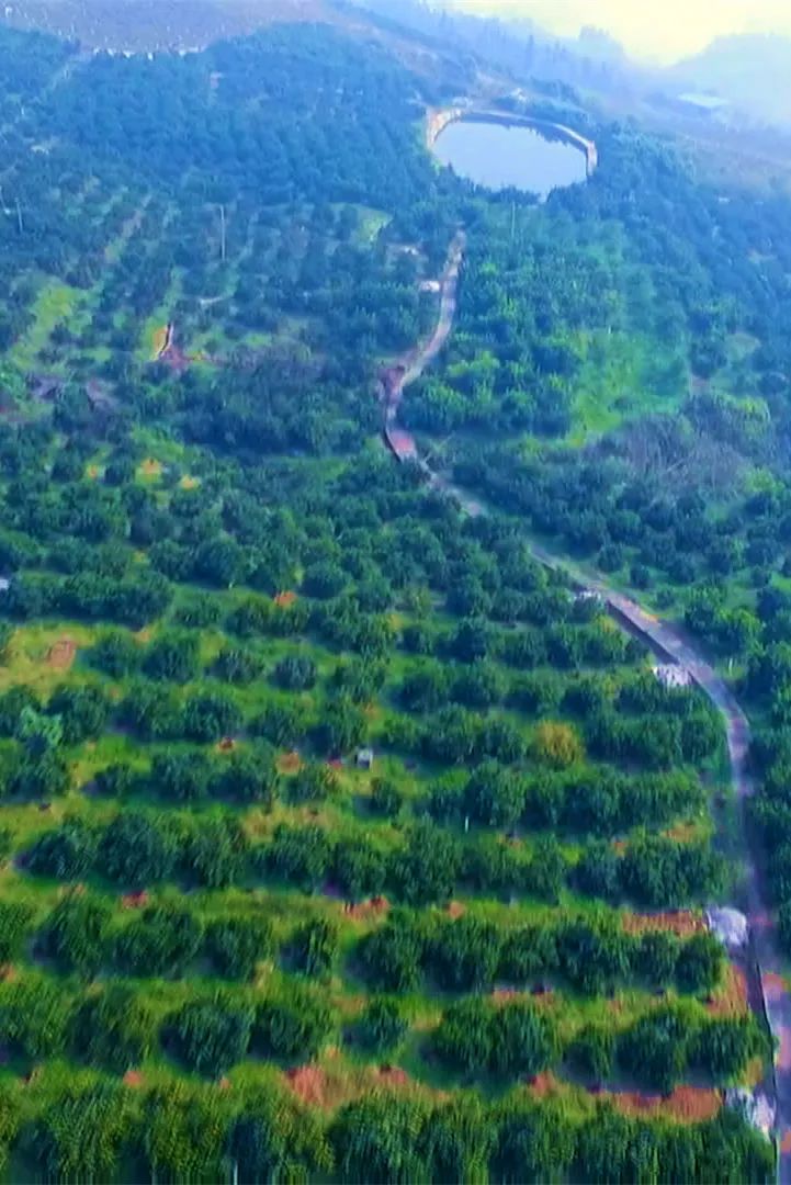 开州区南部的这个生态避暑打卡地，你想来吗？“雷火电竞在线登录官网”(图2)