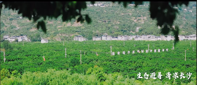 开州区南部的这个生态避暑打卡地，你想来吗？“雷火电竞在线登录官网”(图4)