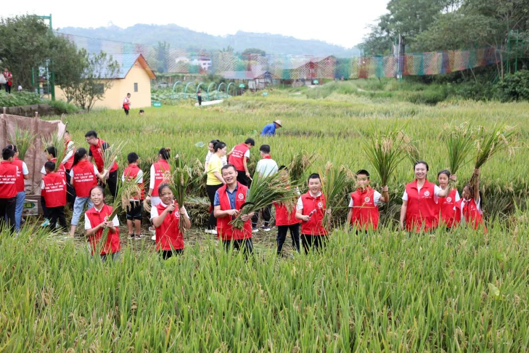 莘莘学子怎么读（莘莘学子）-85模板网