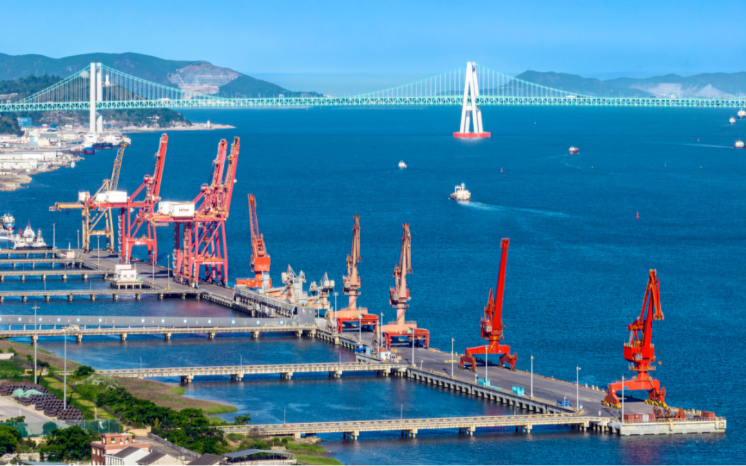 温州港 严艳影 摄.png