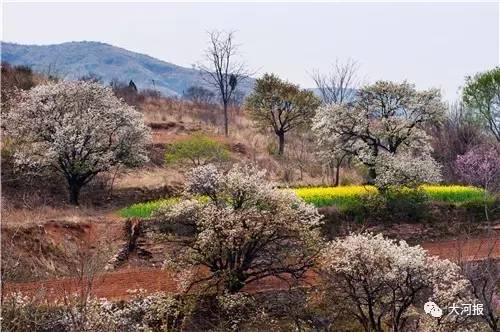 它深藏在鹤壁西部淇县北阳镇的太行褶皱里,小山村如世外桃源,村头矗