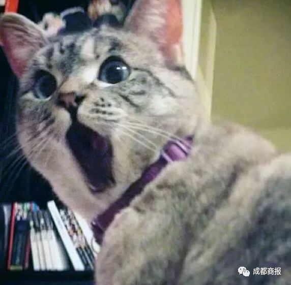Ҫˣڼʲ̱ 