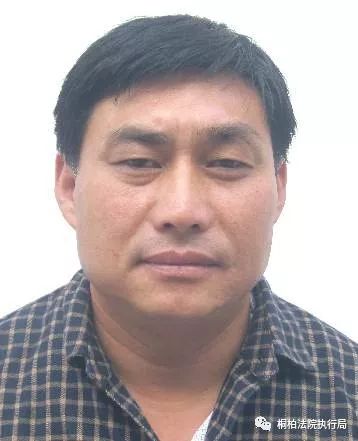 桐柏法院失信被执行人曝光名单 (2018年第五期)