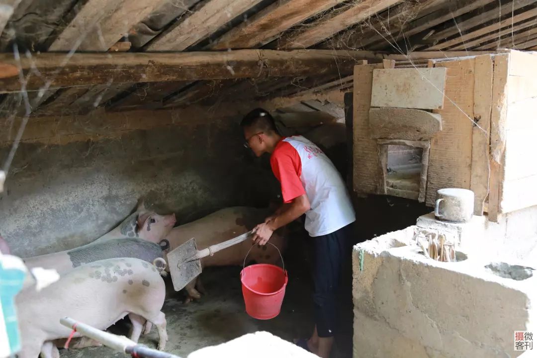 洛阳一山区娃每天种地喂猪,10天后将去清华大学读书