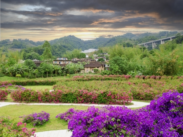 大国小鲜@基层之治 贵州册亨 用山水花草给你比个心