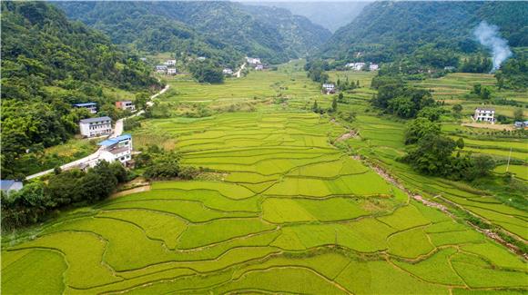 綦江打通鎮:凝心聚力繪就全面小康幸福底色-上游新聞 匯聚向上的力量