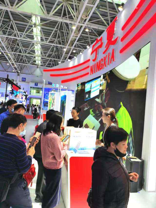 宁夏数字政府展区亮相数字中国建设峰会