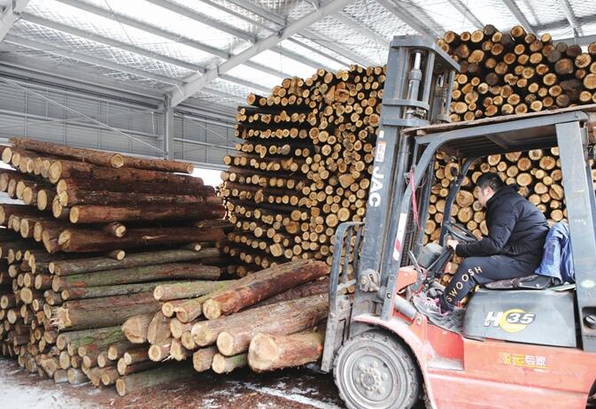 重慶西部港橋木材市場已入駐經營戶300多戶