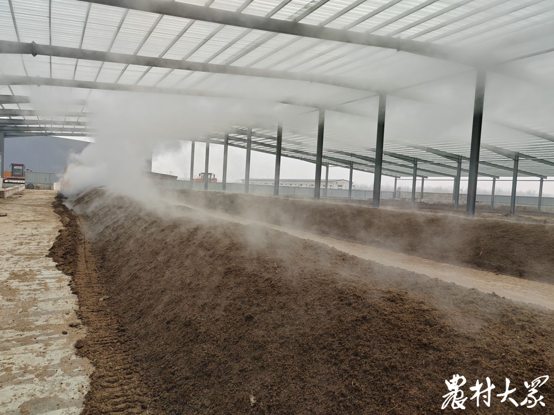 種糧這一年郭馬村種糧大戶把鹽鹼地種成噸糧田