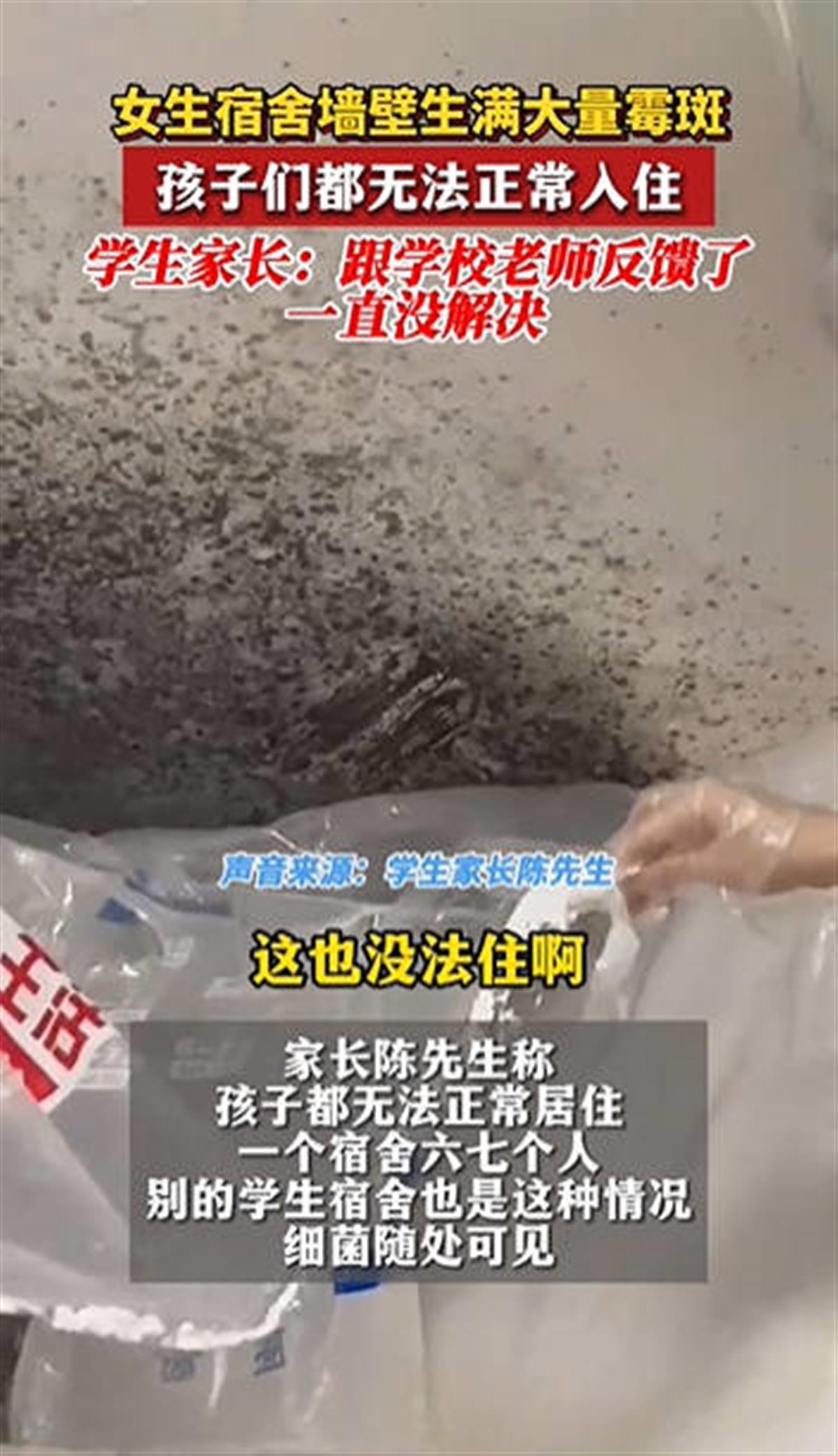 遼寧一高校宿舍墻體現大片霉斑，學校回應：趁假期正在維修處理