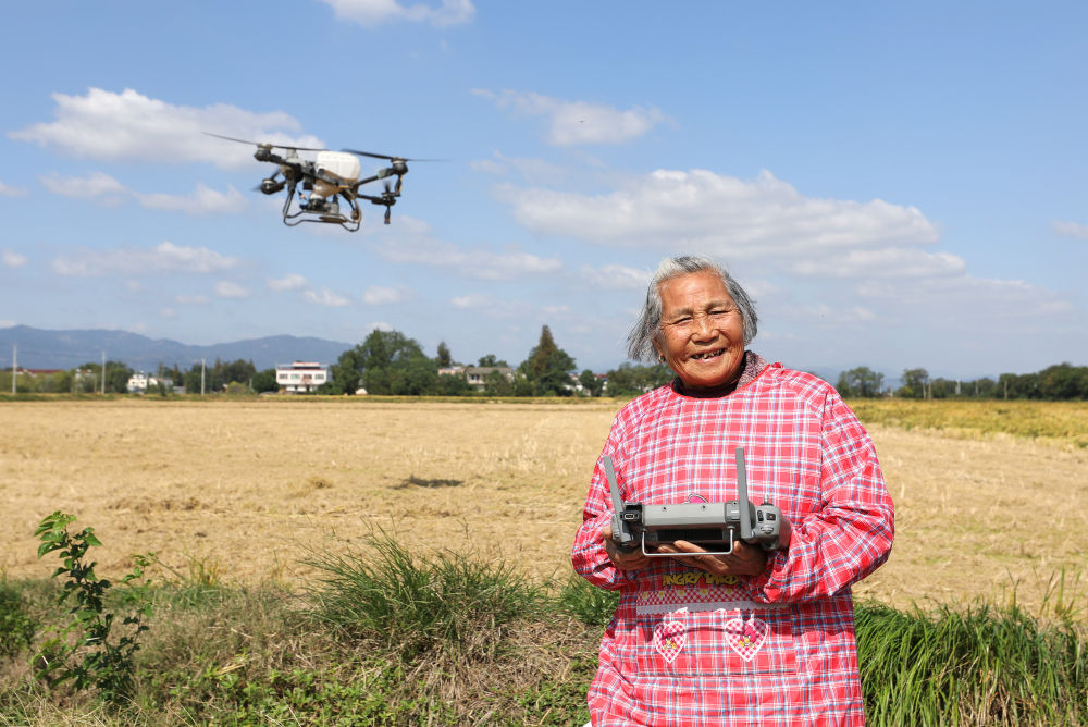 全网刷屏的2025！ 图5