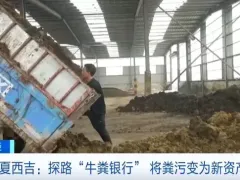 牛粪也是宝！这座牛比人多的县城把它做成了