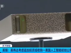 英伟达欲“吃下”这家“美版DeepSee