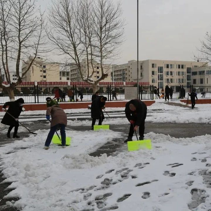 以雪为令 扫雪护行——烟台市体校教职工扫雪除冰在行动