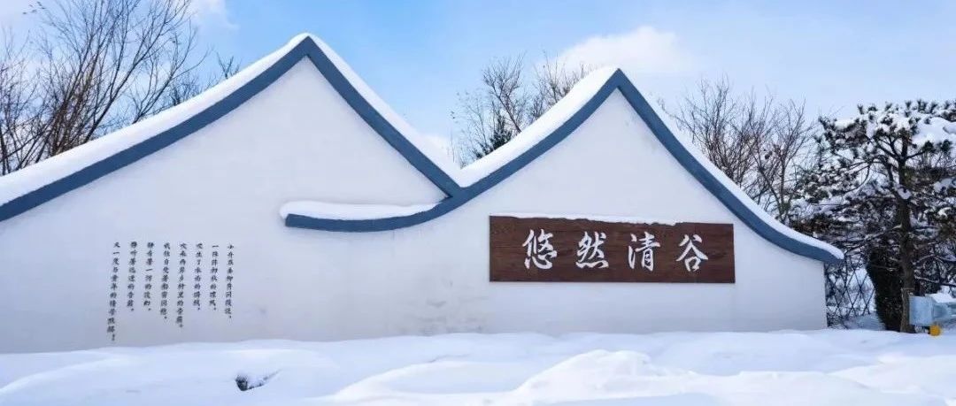 雪中高疃，绝美！