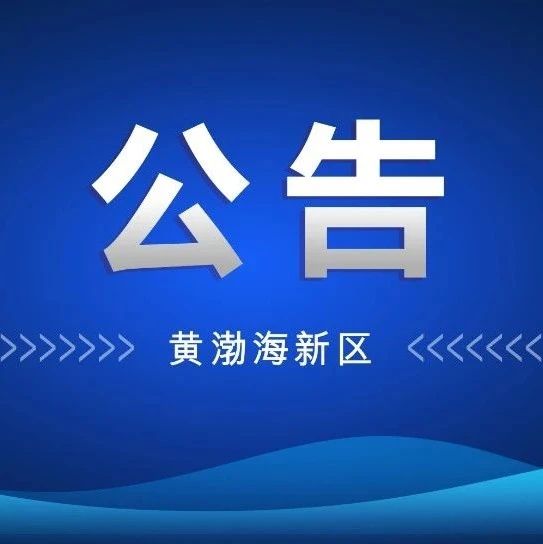 关于集中整治三类消防安全风险隐患重点场所的公告