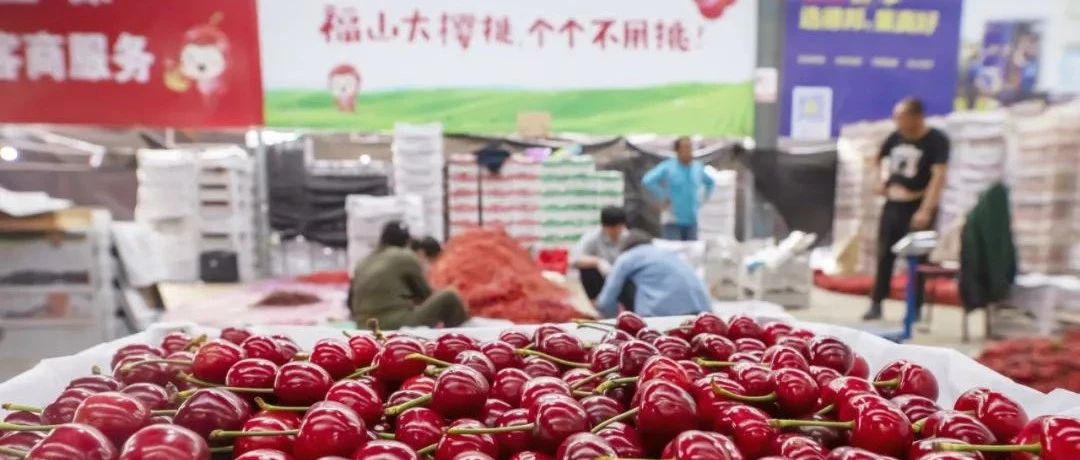 13.42亿人次！中国之声栏目直播对话福山大樱桃