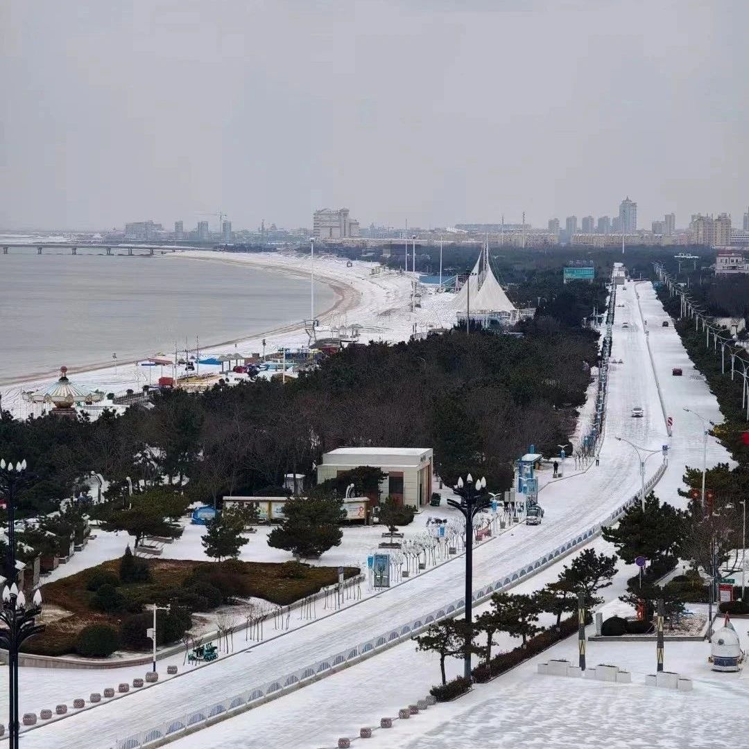 以雪为令，闻雪而动！海阳市各级各部门联动清雪除冰保畅通