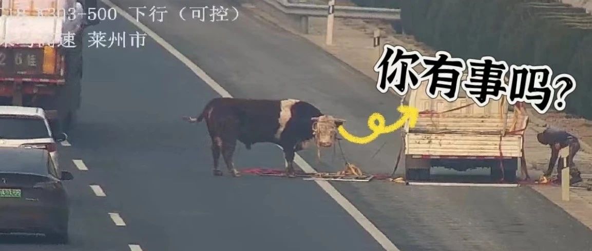 就很突然！开着开着就跳下了车……