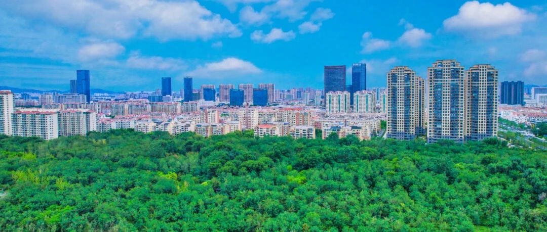 烟台黄渤海新区：新型储能产业，剑指千亿“新极点”！